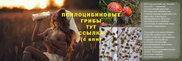 амф Осинники