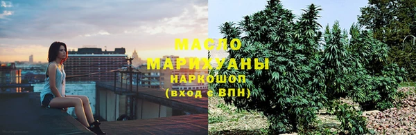 хмурый Няндома